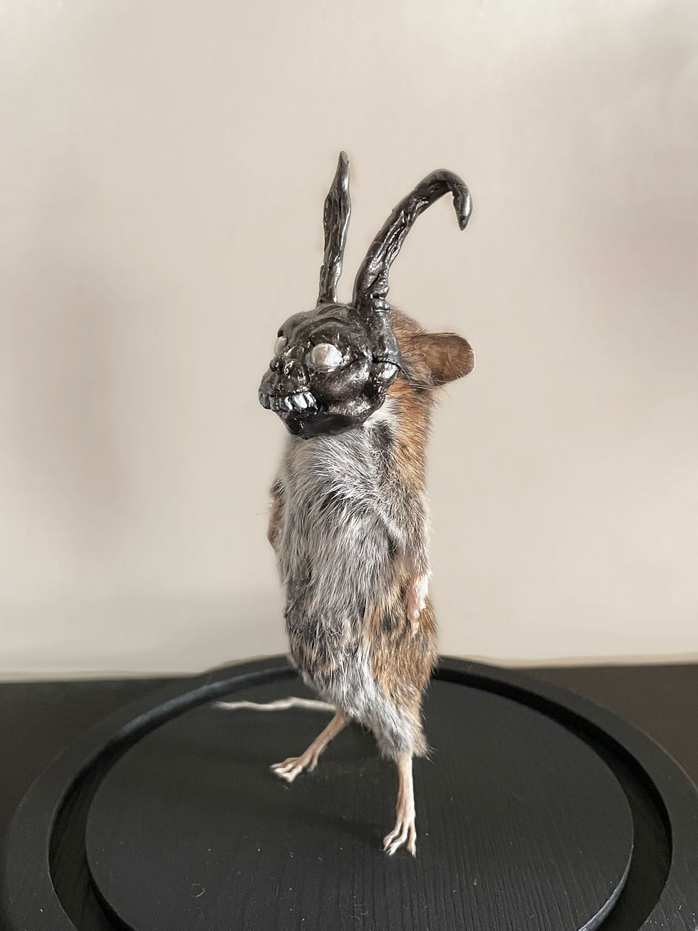 Thumbnail: Frank - Glass Dome Taxidermy Mouse - Donnie Darko
