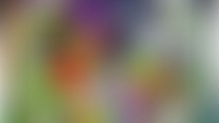 Beltane: Into the Wild & Healing the Shadow