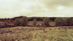 Seanchaí Storytellers of West Ireland