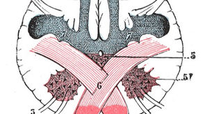 Easter in the Skull: Healing of the Lovers & the Christ Oil