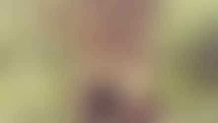 The Ancient Trees of Druid's Grove - finding the Sacred Place of Stillness & Inspiration