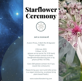 starflower new.png
