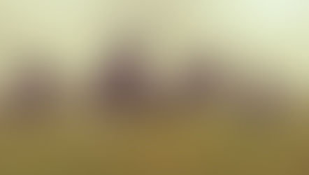 Potent Transformative Fire - June Solstice 2022