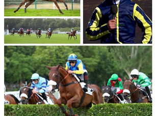 Nouvel accompagnement