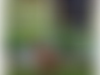 Nouvel accompagnement