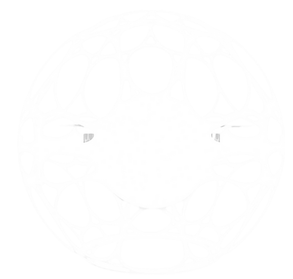 Drone Soccer Association League event