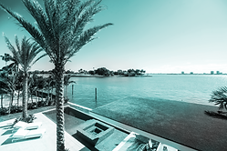 Website Image - Green Colour.png