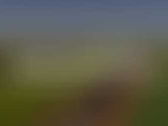 INLAND RAIL PROJECT - QUEENSLAND SECTIONS