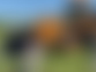 HUGE SAVINGS ON HUGE LOADERS