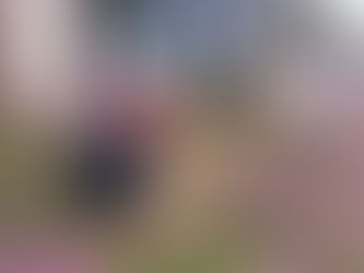 【2025.06.01】「初倉まちづくりの会」の美化運動!!