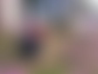 【2025.06.01】「初倉まちづくりの会」の美化運動!!
