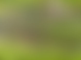 【2023.04.27】ホタルの準備にあちこちあちこち!!