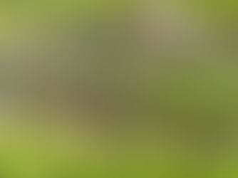 【2023.04.27】ホタルの準備にあちこちあちこち!!