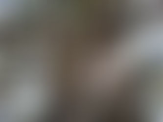 【2023.03.19】春の山野草に癒されました!