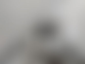 【2024.02.25】ホタルの幼虫を放流しました!