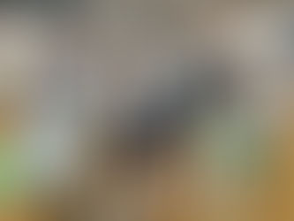 【2025.08.18】大柳きしゃぽっぽに4人の子どもボランティアさん参加!
