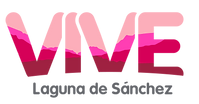 Vive - Pantone (Archivos Cliente)_Rosa.p