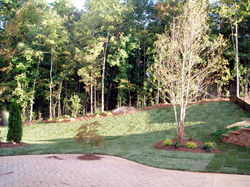 landscaping-2