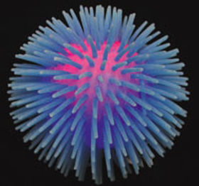 light_up_puffer.jpg
