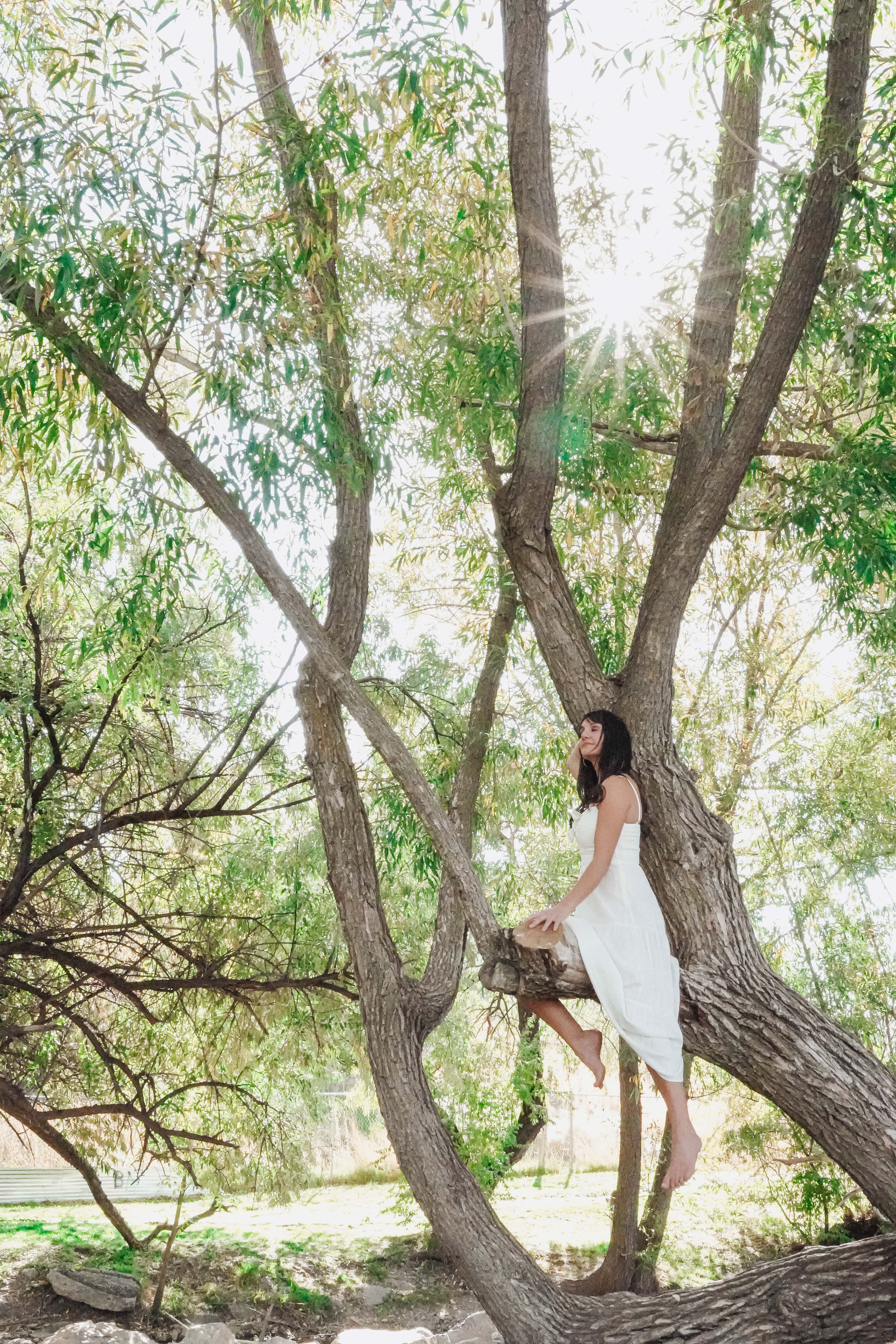 Tresa climbing through the branches of a tree, seen from behind