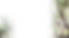Untitled design-12.png