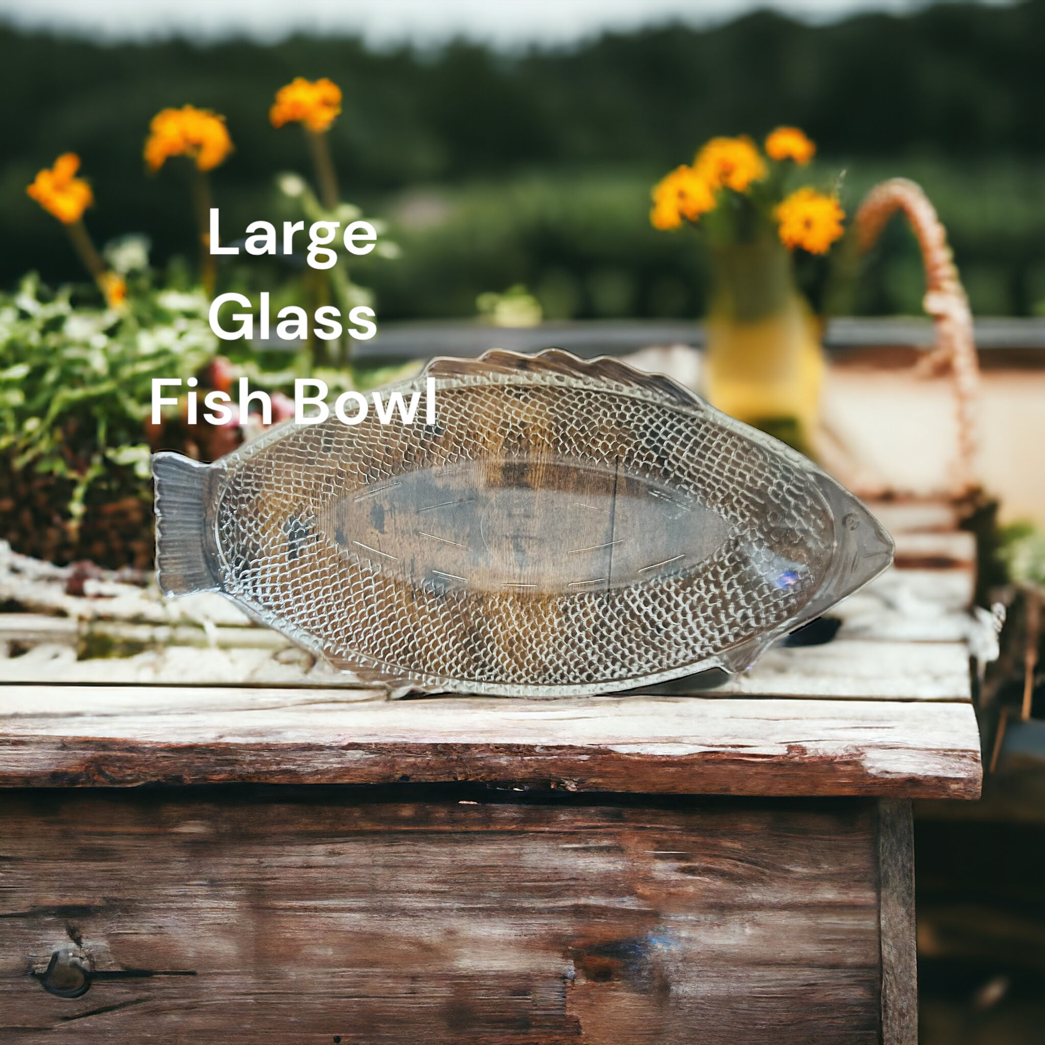 Large Glass Bowl Dish. American Glass