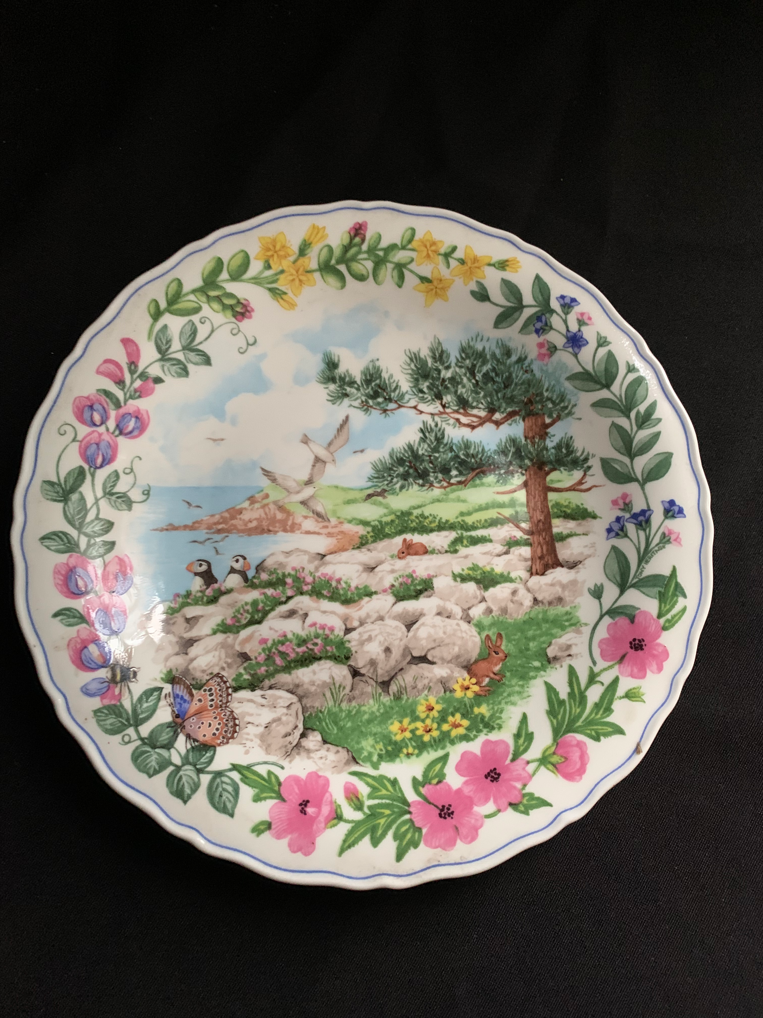 Wedgwood Cabinet Plate