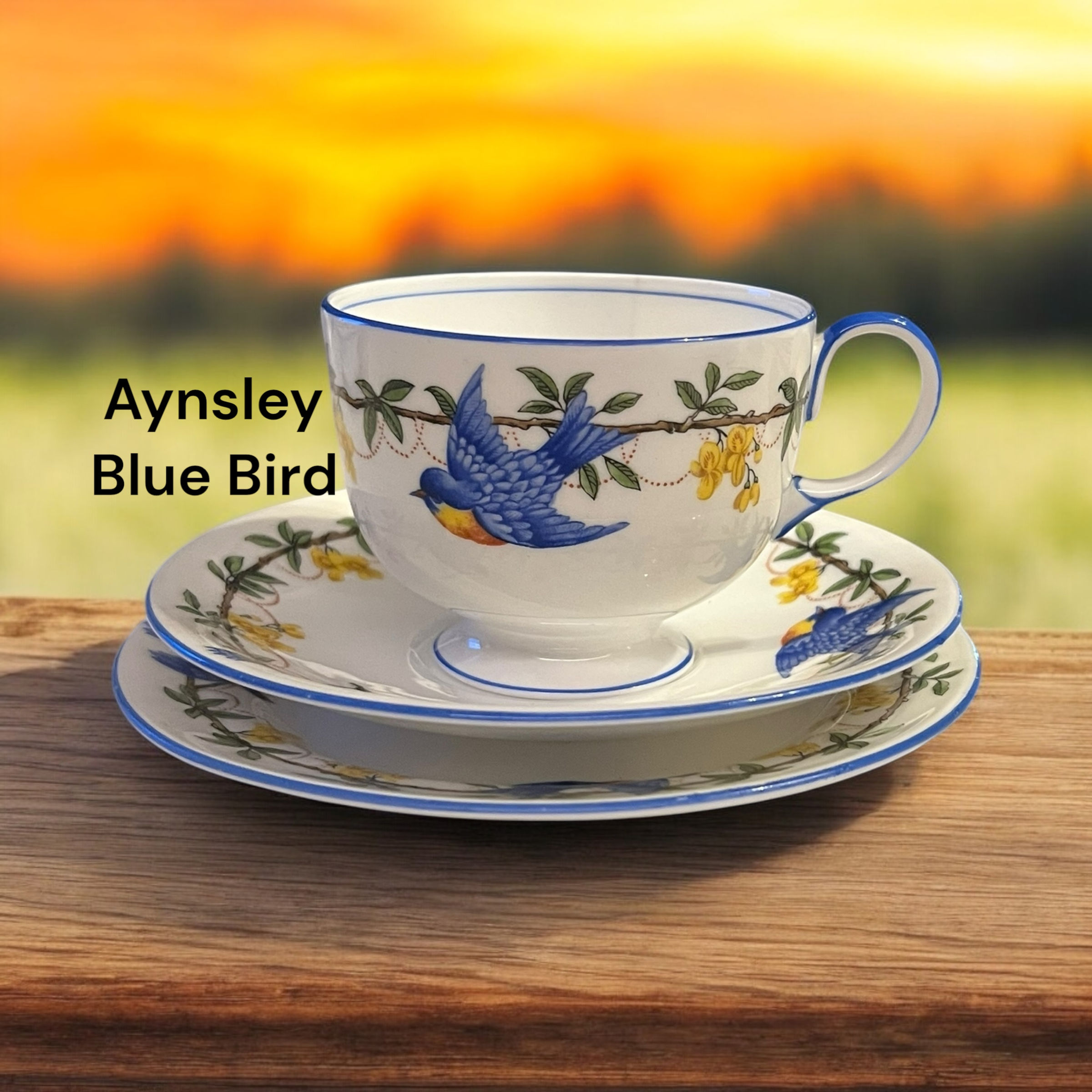 Aynsley. English China. Bluebird.