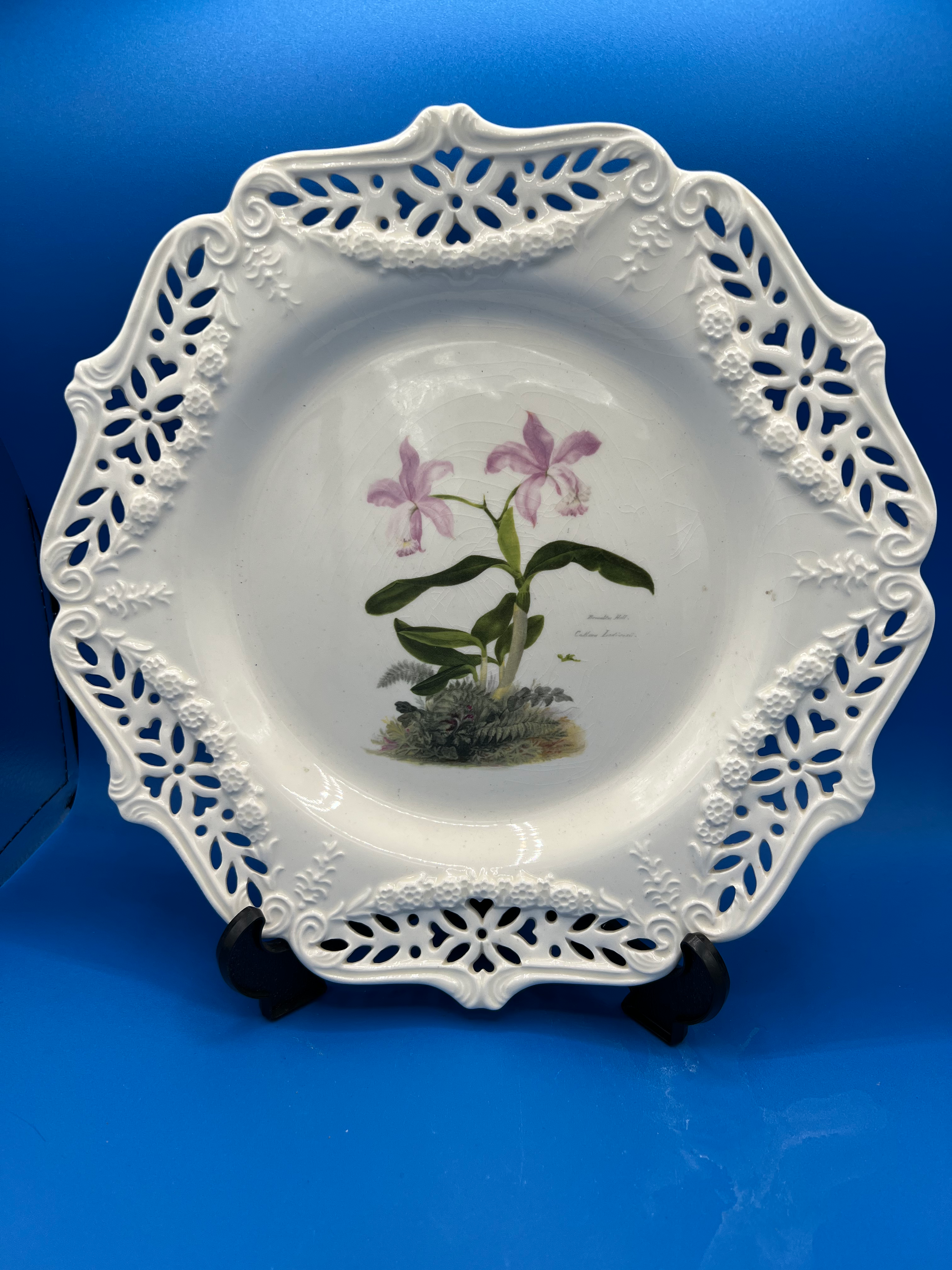 Large Reticulated Plate