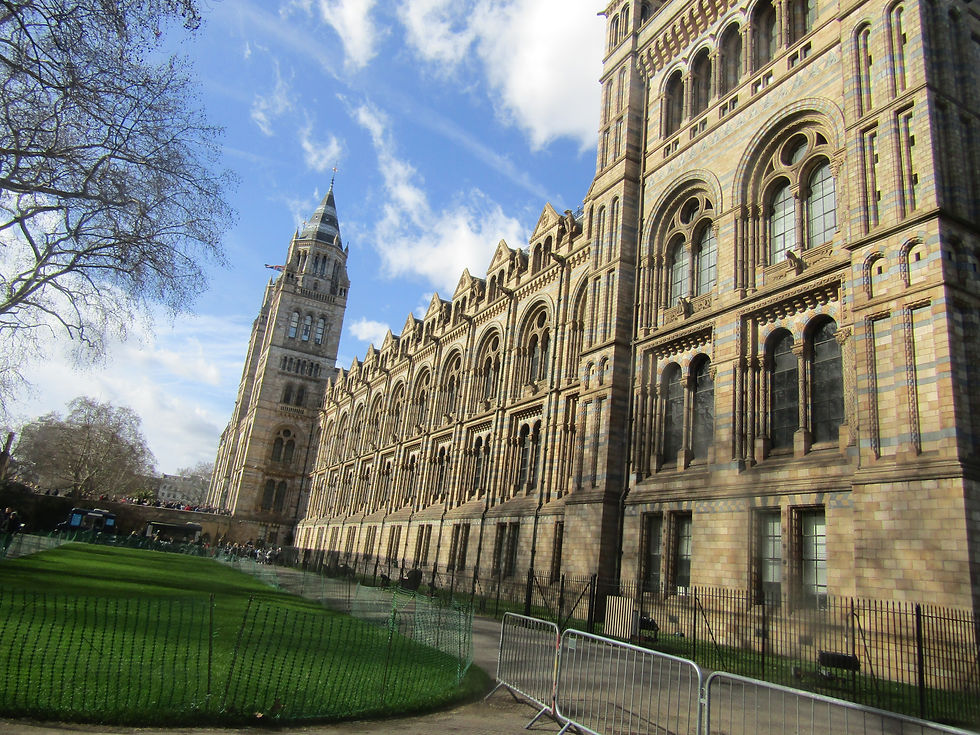 Natural History Museum