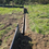 Thumbnail: Geotextile Fencing - POA Please ring 01664 444604