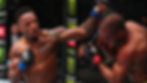 Lerone Murphy combattants ufc invaincus