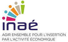 logo-INAE.jpg