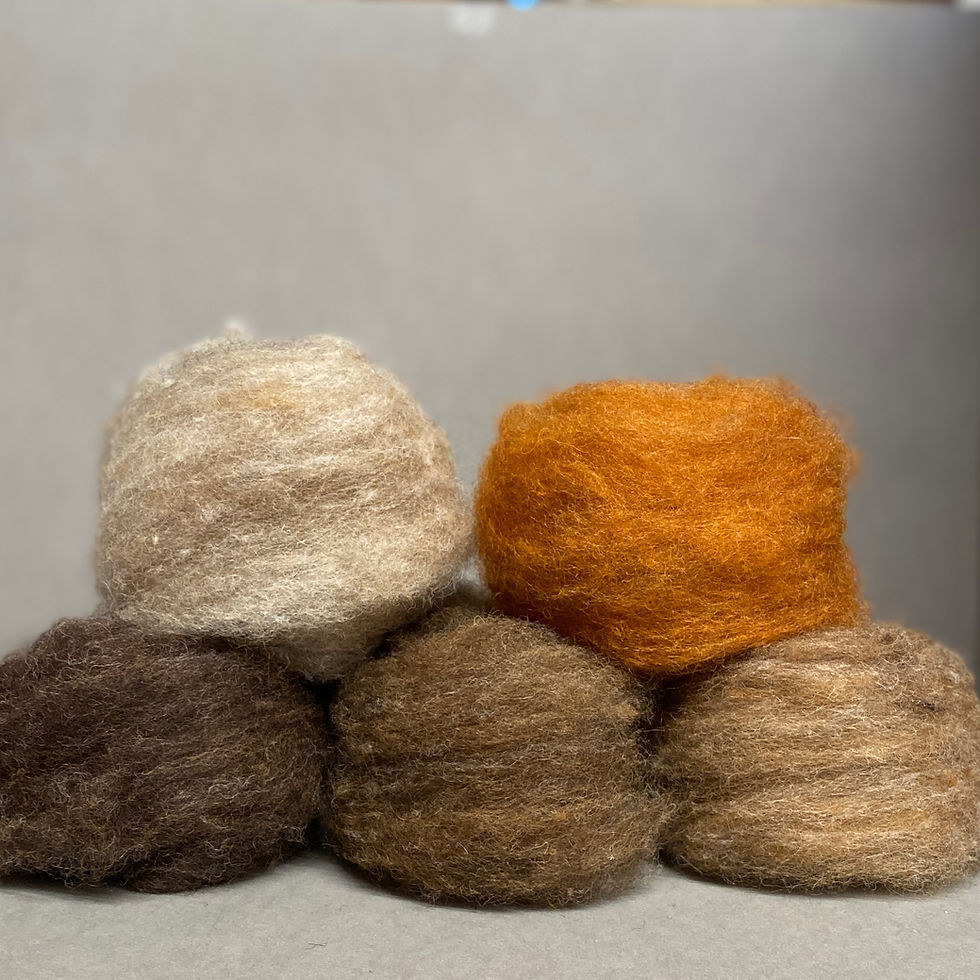 Thumbnail: Needle Felting Starter Kit - Animal Blends