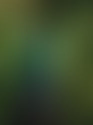 Právo odsouzeného na přístup k soudu