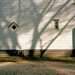 Transplant Untitled #8