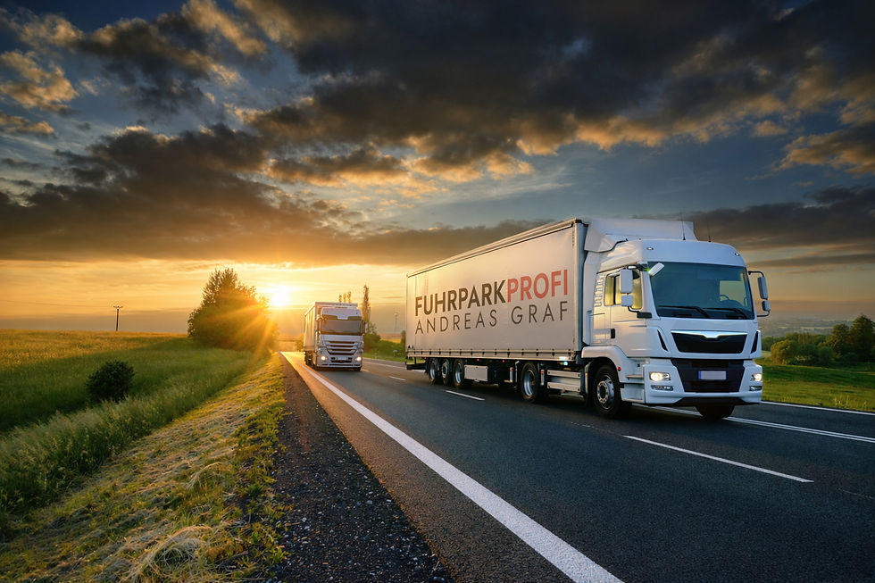 LKW Fuhrparkprofi 1.jpg