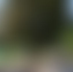 History of Talleyrand Park, Bellefonte, Pennsylvania