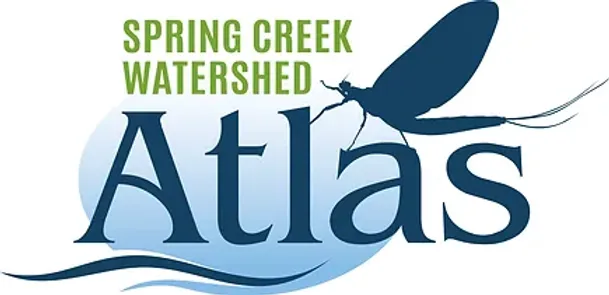 Storm Water Management--Municipal Separate Storm Sewer System (MS4) Program