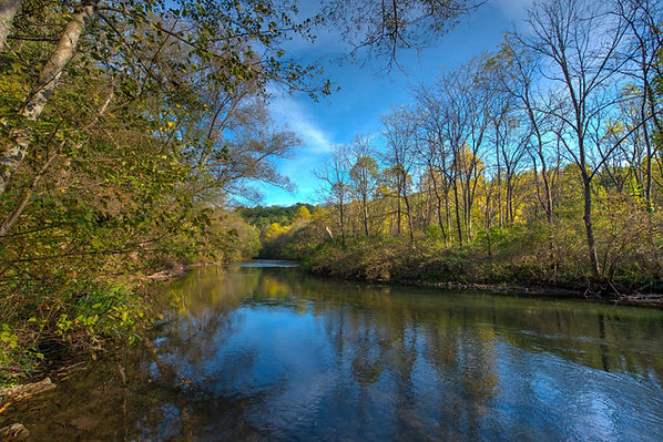 Spring Creek Colors-8601_2_3.jpeg