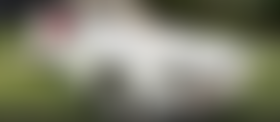 Kommentar från Höstauktion 1