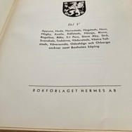 IMG_7429.jpeg