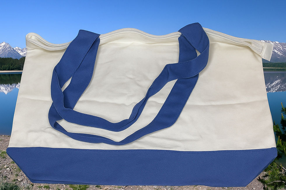 Miniature : Tote bag coton à zip bleu/noir