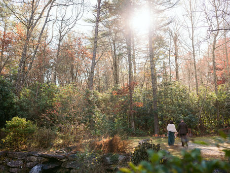 11.3.23 | Intimate Wedding at Cabin in Lake Toxaway & at The Greystone Inn | Amy & Michael 