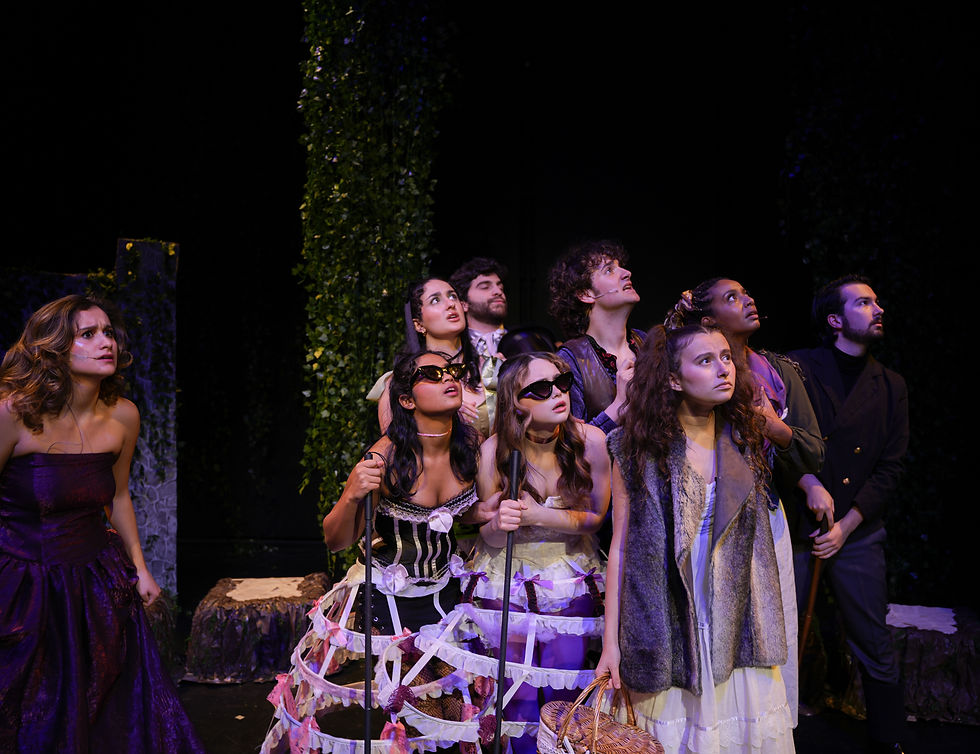 Into The Woods