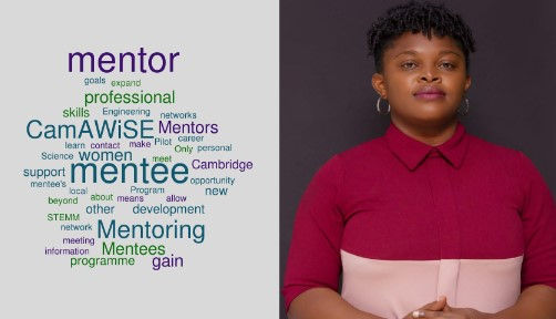 Blog post: My experience as a mentee: Mindset shift, improved knowledge about scientific publication and a new collaboration