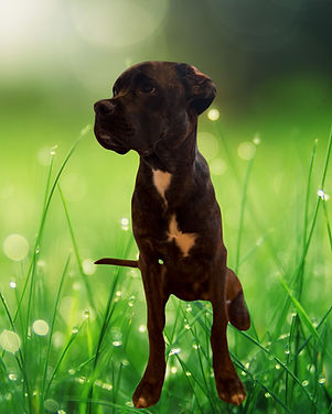 WhatsApp Image 2025-11-27 at 16.12.53.jpeg