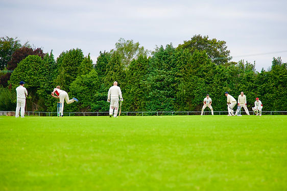 CSSC Cricket Pitch.jpeg
