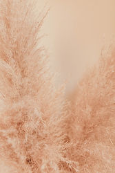 wix background.jpg