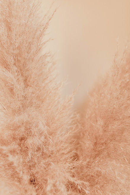 wix background.jpg